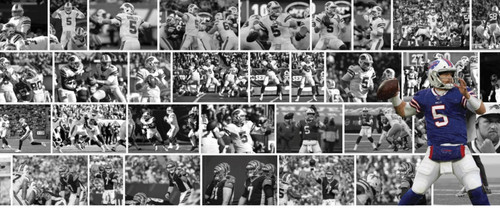 Matt barkley buffalo bills - barkley,