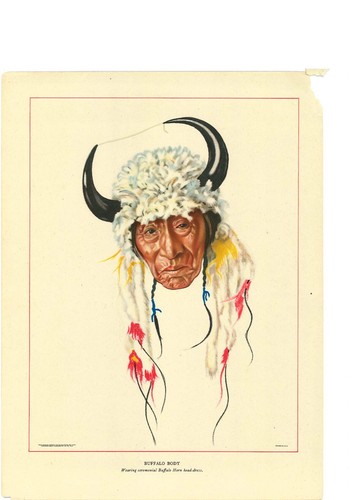 Vintage buffalo body native - body,