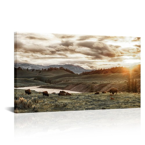 Rnnjoile buffalo canvas wall - rnnjoile,